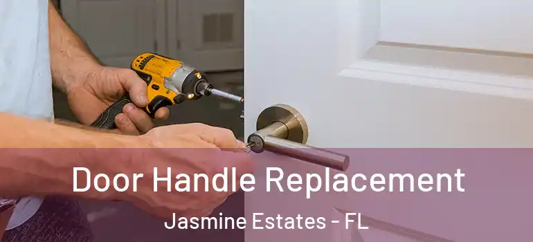  Door Handle Replacement Jasmine Estates - FL