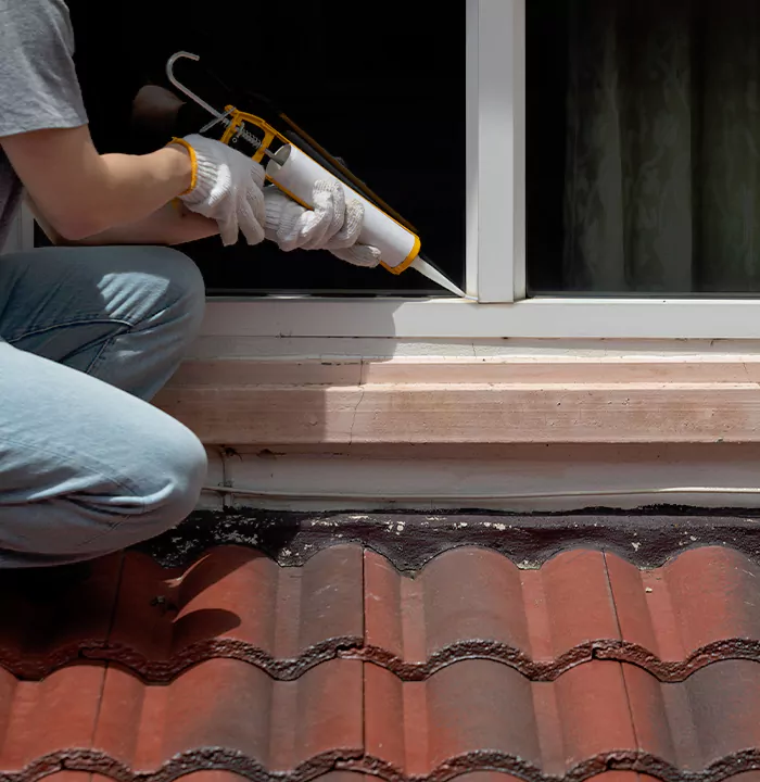 Roof Window Services in Jasmine Estates, Florida