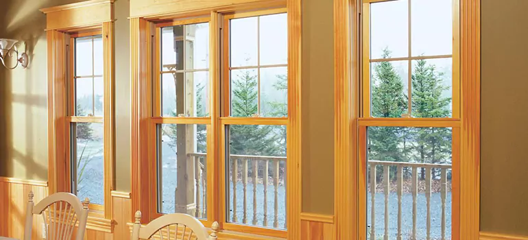 Government Incentives For Replacement Windows in Jasmine Estates, FL