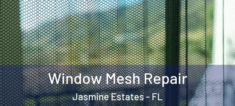  Window Mesh Repair Jasmine Estates - FL